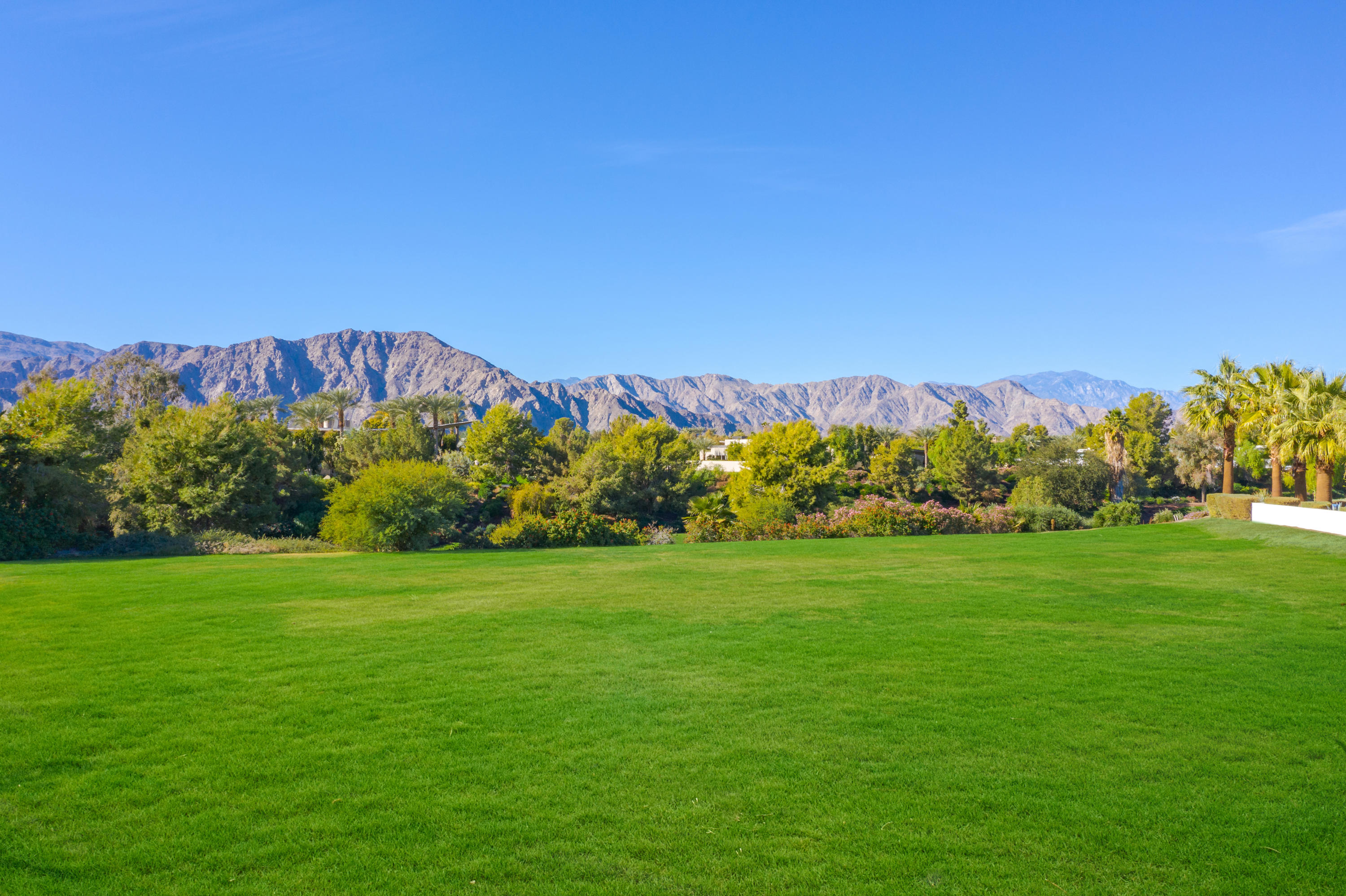 a view of a grassy field with mountain in the background