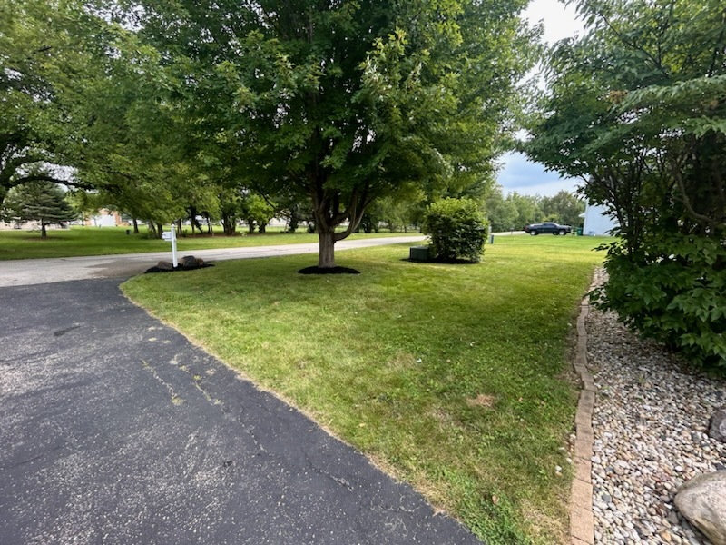 710 Daisy Court Seneca, IL 61360 - Photo 5 of 38 a view of a tree in a yard
