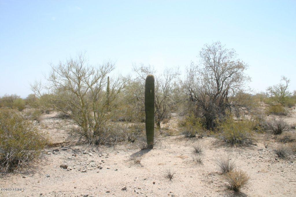 0 West Momoli Road, Unit 40 Maricopa, AZ 85139 - Photo 8 of 18 IMG_7906
