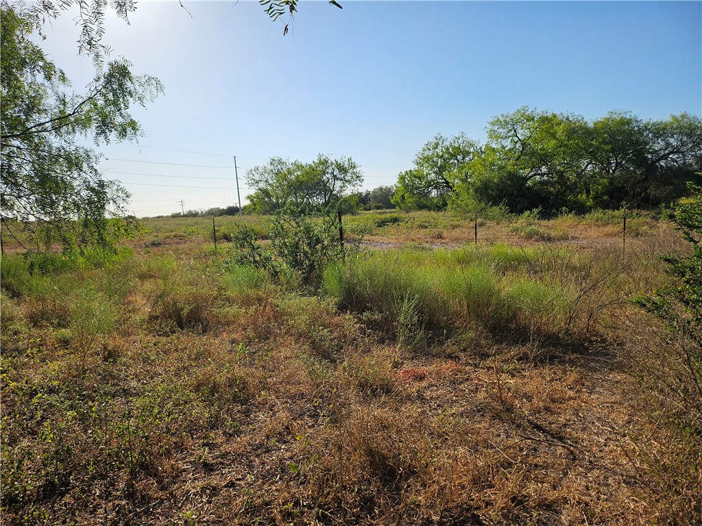 24024 441st Circle Mathis, TX 78368 - Photo 49 of 57 Gallery Image 49