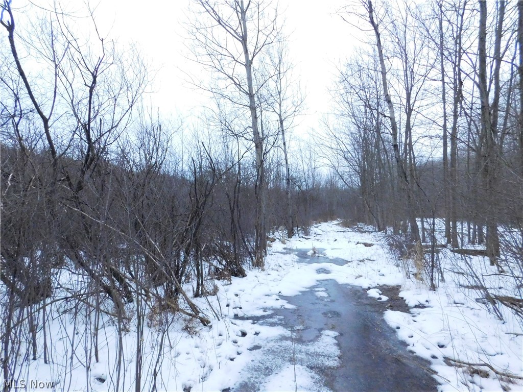 V/l V/l Painesville Warren R Road Painesville, OH 44077 - Photo 27 of 30 Gallery Image 27