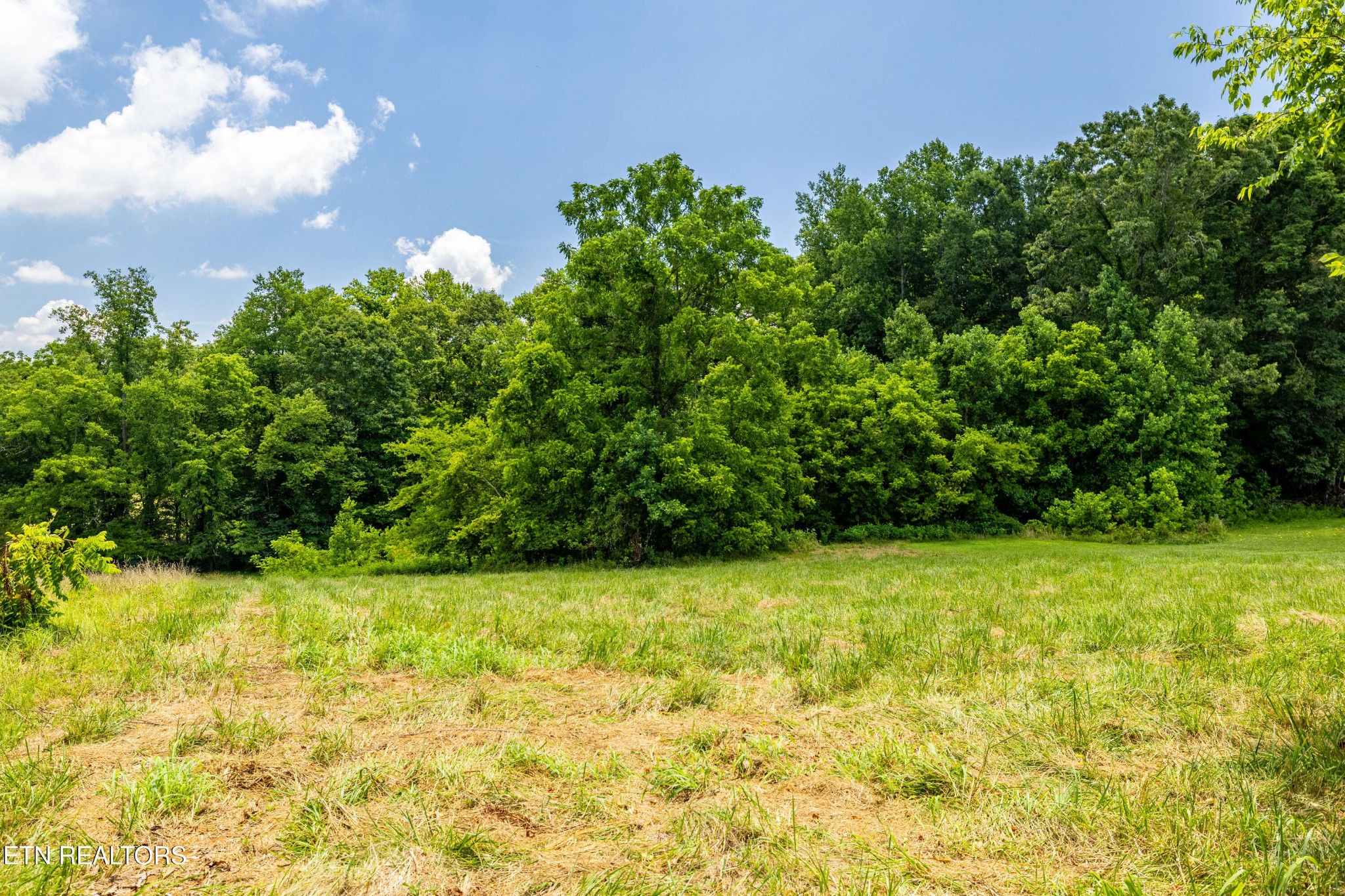 1768 Fain Cemetery Road Dandridge, TN 37725 - Photo 27 of 45 a backyard of a house with lots of green space and plants
