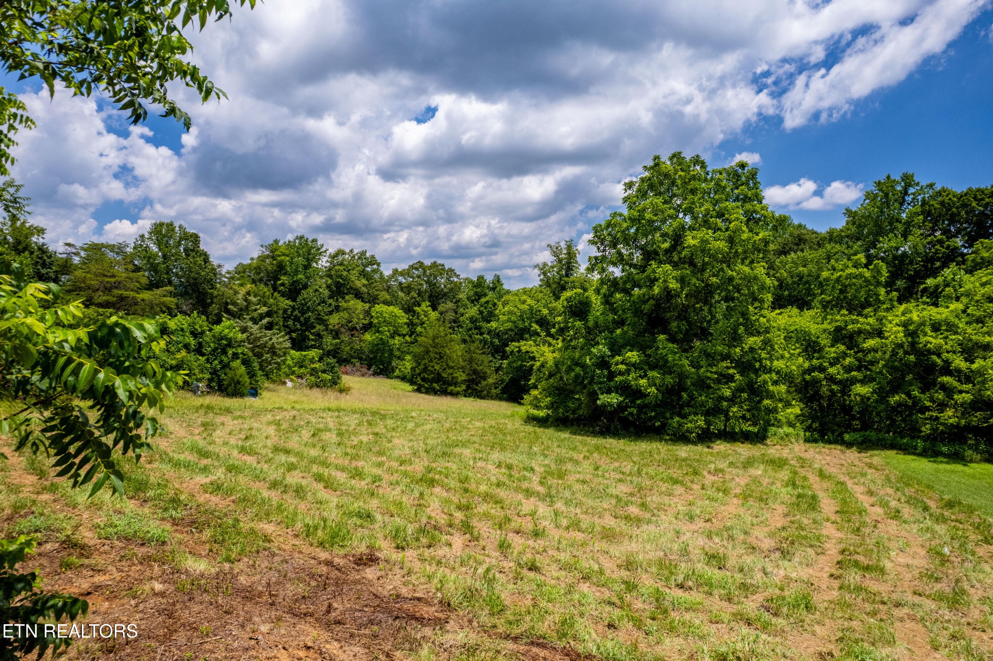 1768 Fain Cemetery Road Dandridge, TN 37725 - Photo 29 of 45 a view of a yard with plants and a bench