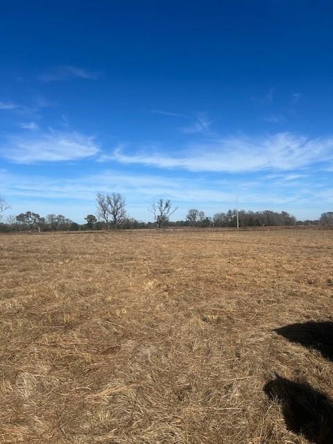 0 Vz County Road Ben Wheeler, TX 75754 - Photo 8 of 10 a view of a lake view