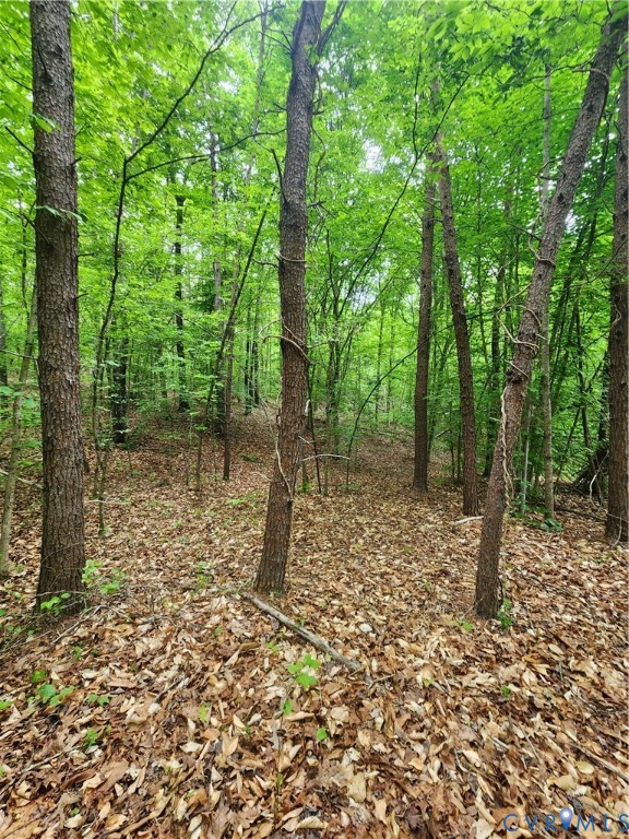 0 Bryants Ford Road Fork Union, VA 23055 - Photo 13 of 14