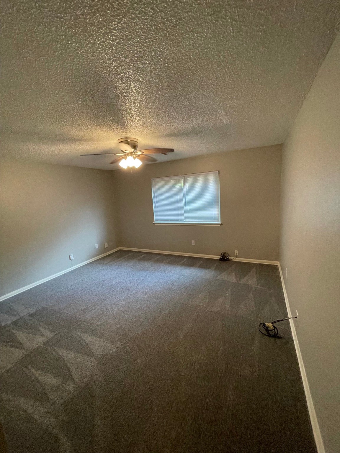 5003 Spring Forest Drive Houston, TX 77091 - Photo 23 of 37 a view of a room with a ceiling fan and window