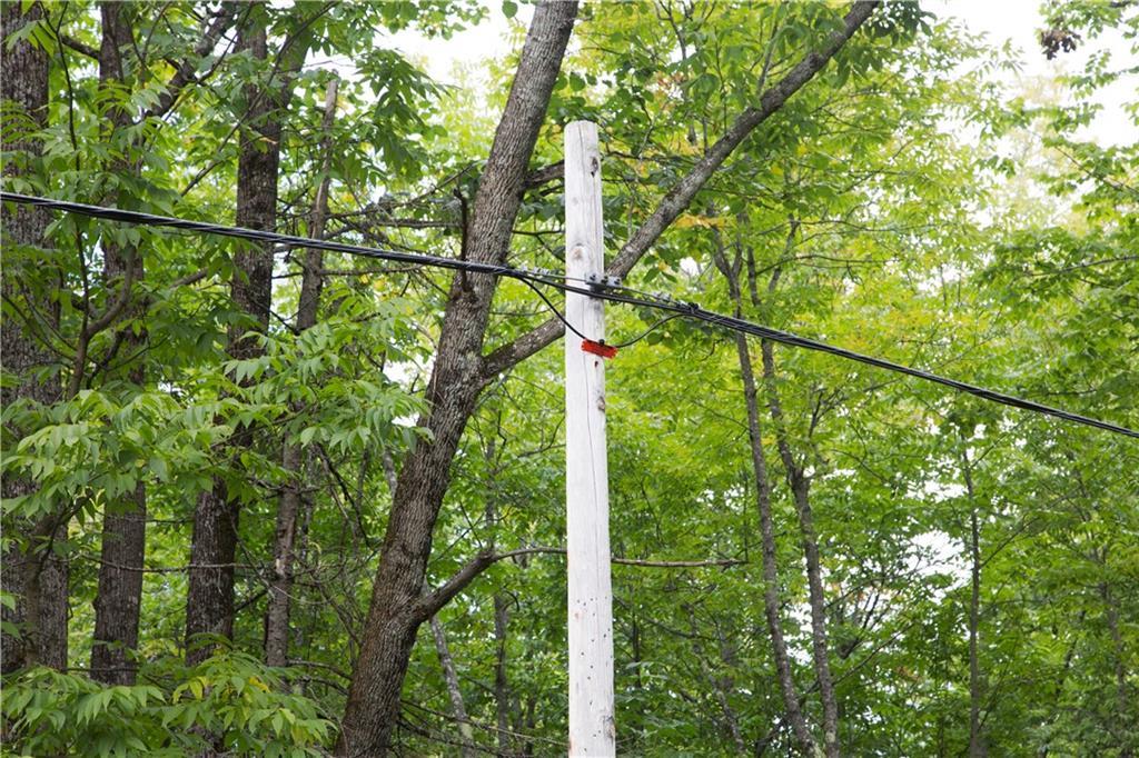 Tbd Cottrell Road Dixmont, ME 04932 - Photo 14 of 15 Only telephone lines are on poles...