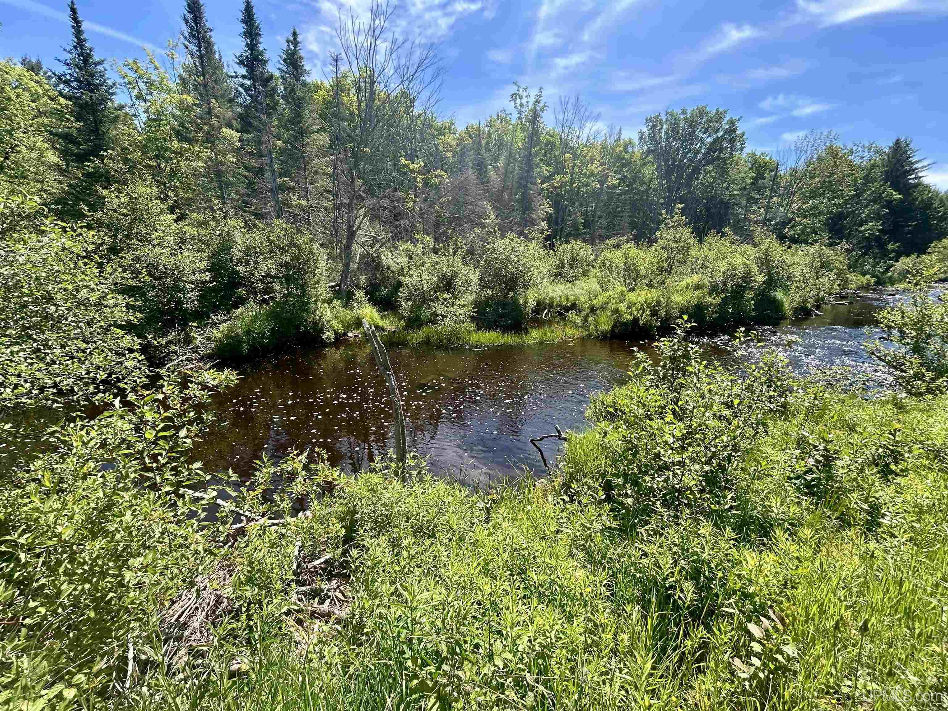 N8766 Peter White Road Deerton, MI 49822 - Photo 2 of 56