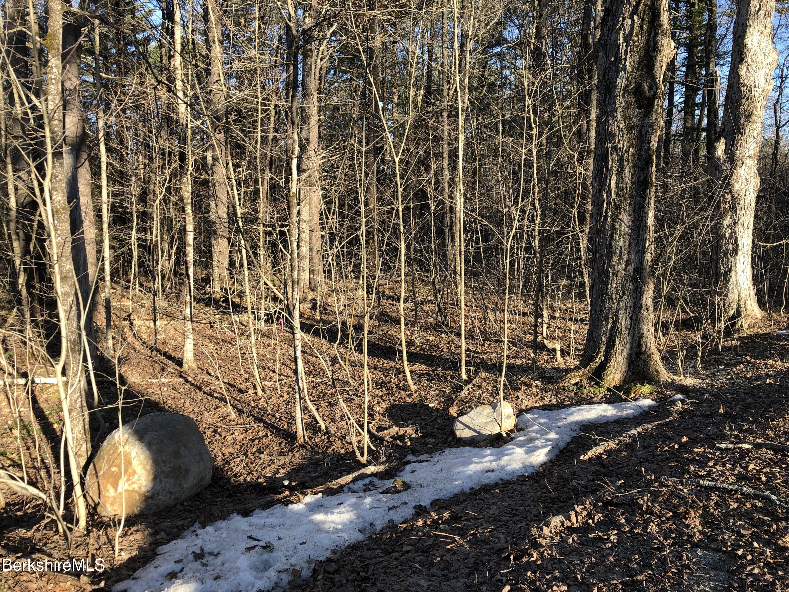 0 High St Hill Road Windsor, MA 01270 - Photo 2 of 7 a view of yard