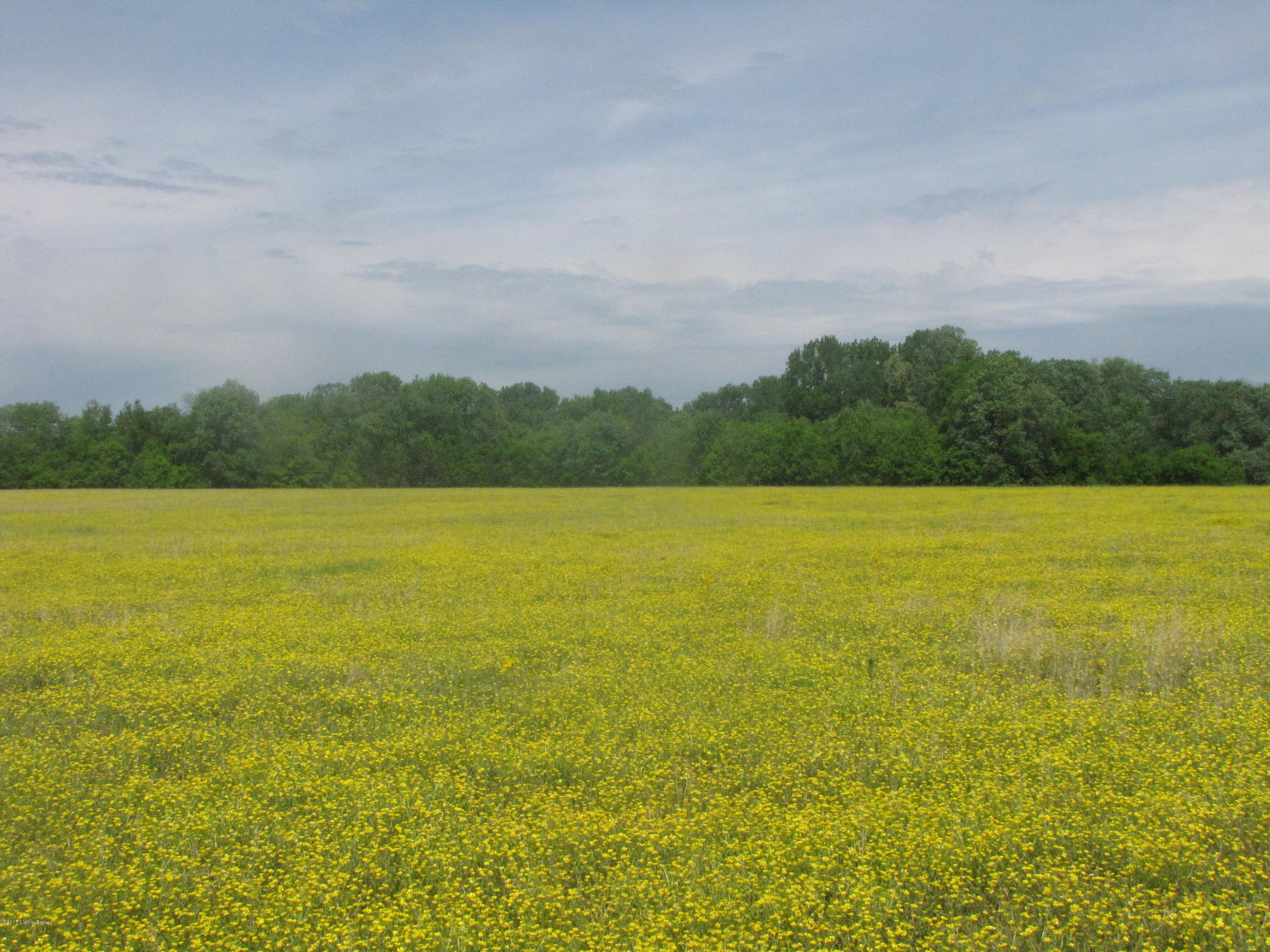 728 North Stillwell Road Boston, KY 40107 - Photo 11 of 15 IMG_5843