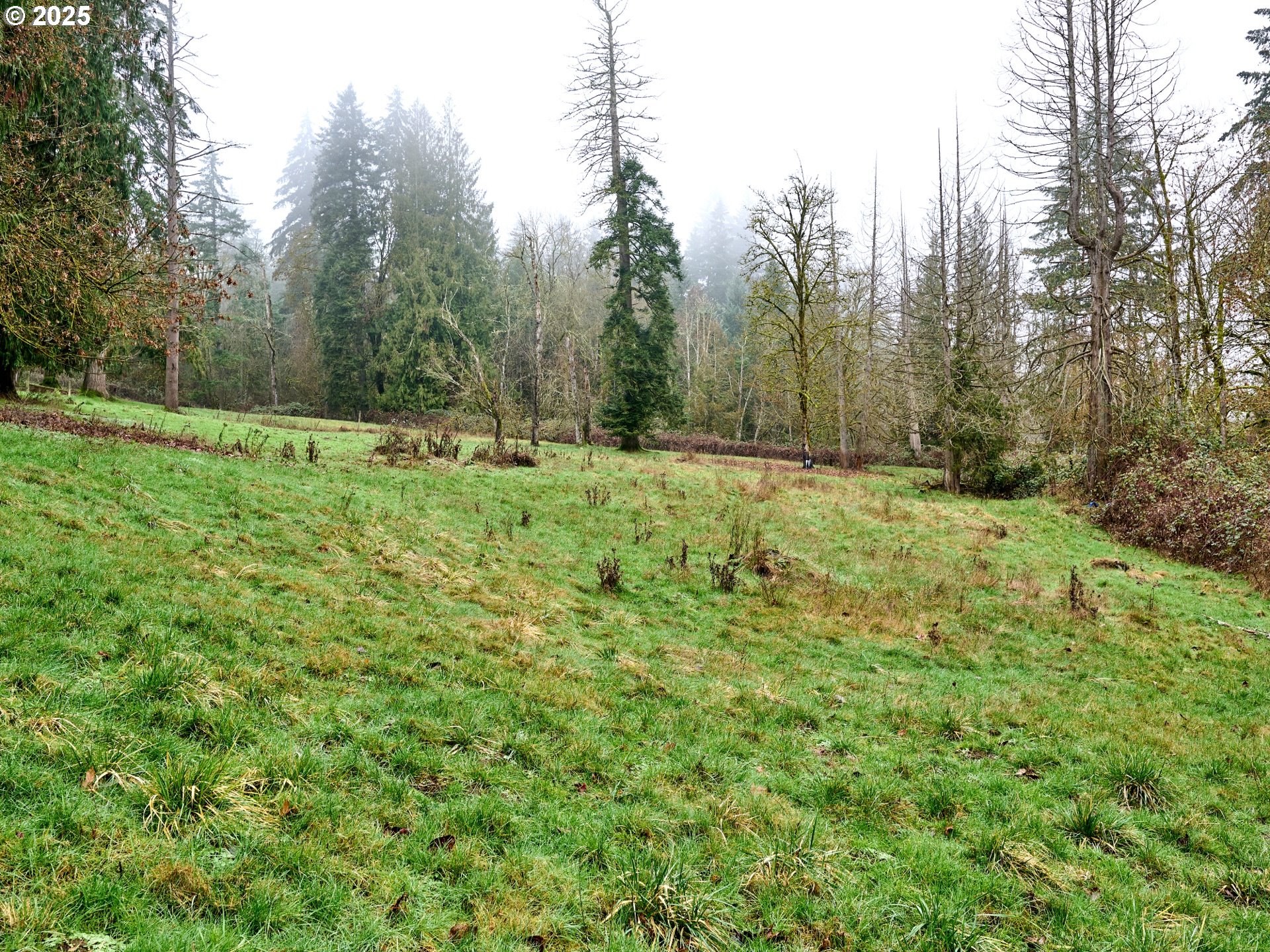 25335 South Central Point Road Canby, OR 97013 - Photo 27 of 28