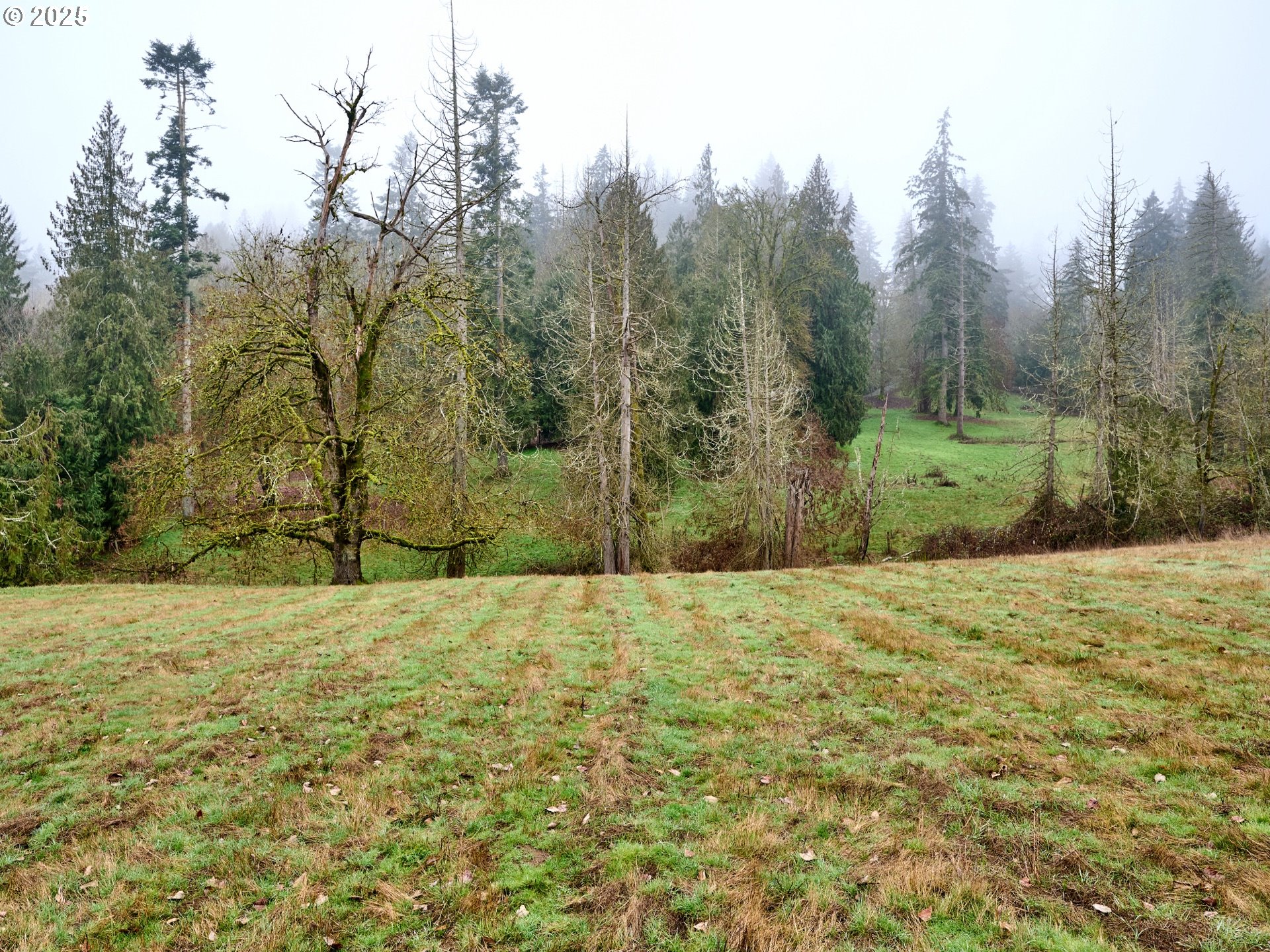 25335 South Central Point Road Canby, OR 97013 - Photo 28 of 28