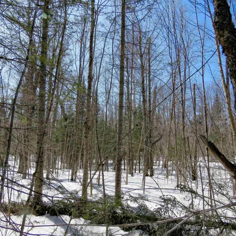 $74,000 | 8 Finland Mn 55603, Schroeder, MN 55613