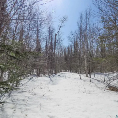 $70,000 | 8 Finland Mn 55603, Schroeder, MN 55613