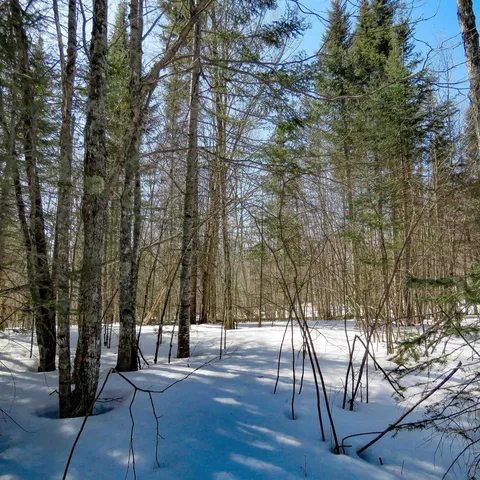 $74,000 | 8 Finland Mn 55603, Schroeder, MN 55613