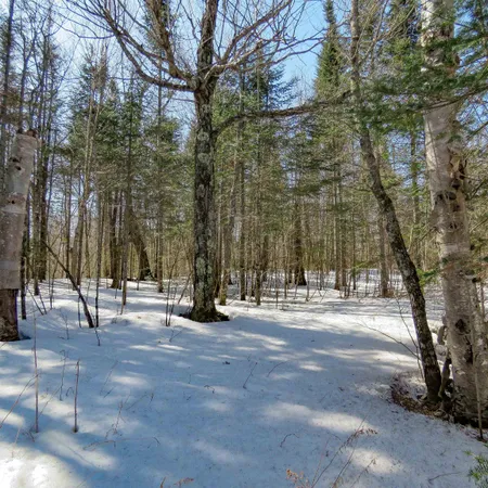 $70,000 | 8 Finland Mn 55603, Schroeder, MN 55613