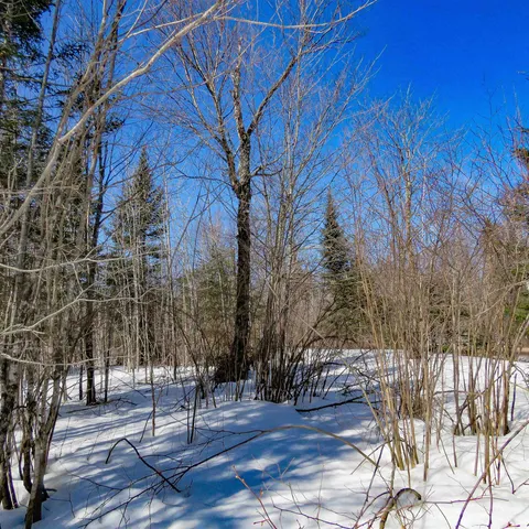 $74,000 | 8 Finland Mn 55603, Schroeder, MN 55613