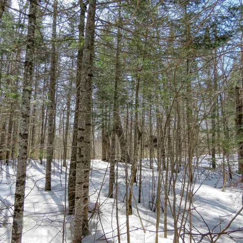 $74,000 | 8 Finland Mn 55603, Schroeder, MN 55613