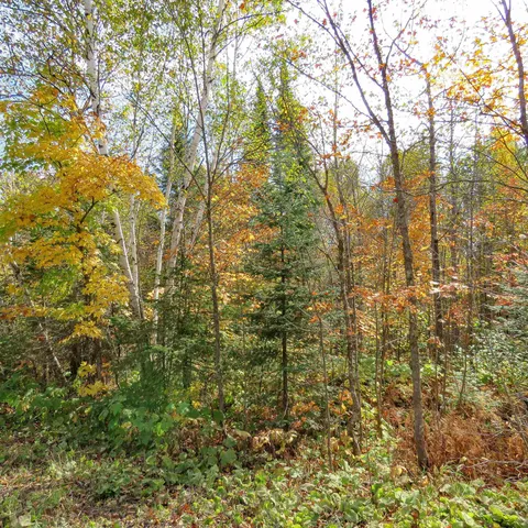 $74,000 | 8 Finland Mn 55603, Schroeder, MN 55613