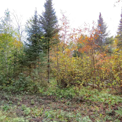 $74,000 | 8 Finland Mn 55603, Schroeder, MN 55613