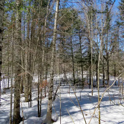 $74,000 | 8 Finland Mn 55603, Schroeder, MN 55613