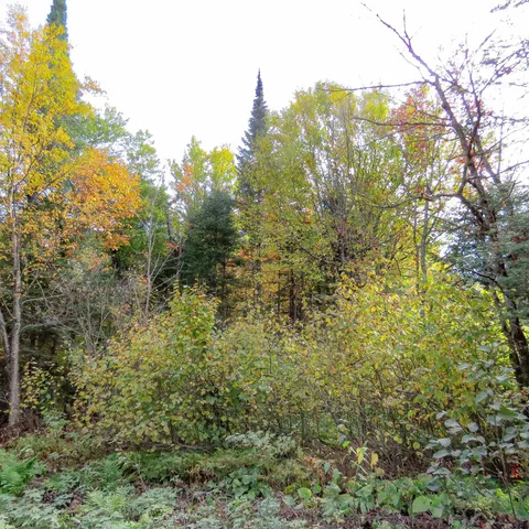 $74,000 | 8 Finland Mn 55603, Schroeder, MN 55613