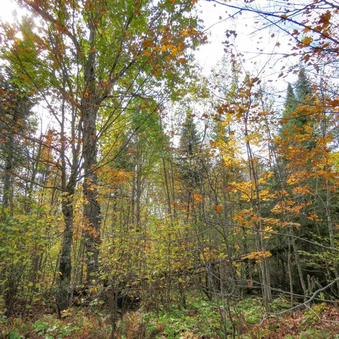 $74,000 | 8 Finland Mn 55603, Schroeder, MN 55613