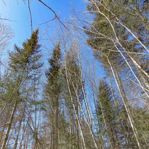 $74,000 | 8 Finland Mn 55603, Schroeder, MN 55613