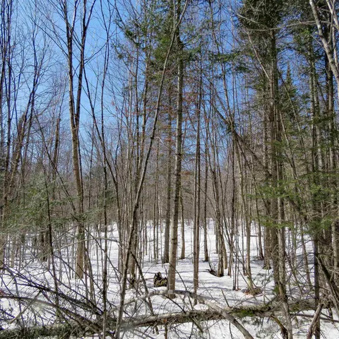 $74,000 | 8 Finland Mn 55603, Schroeder, MN 55613