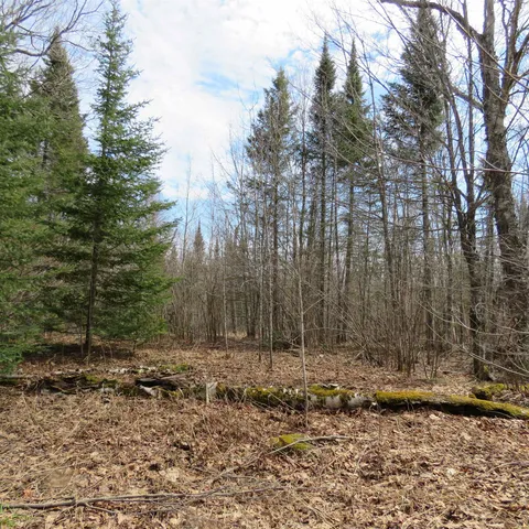 $74,000 | 8 Finland Mn 55603, Schroeder, MN 55613