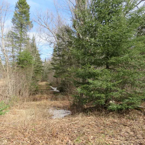 $74,000 | 8 Finland Mn 55603, Schroeder, MN 55613