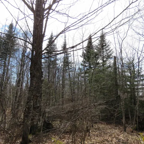 $74,000 | 8 Finland Mn 55603, Schroeder, MN 55613