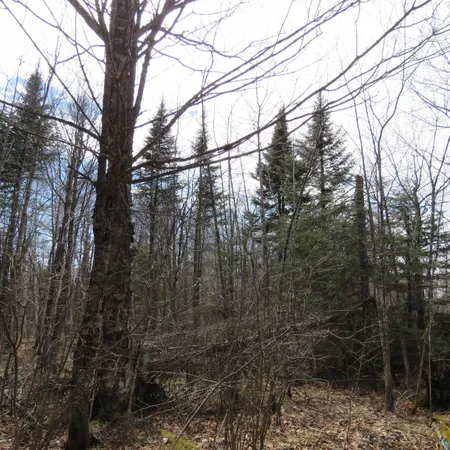 $70,000 | 8 Finland Mn 55603, Schroeder, MN 55613