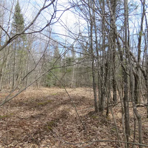 $74,000 | 8 Finland Mn 55603, Schroeder, MN 55613