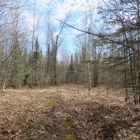 $74,000 | 8 Finland Mn 55603, Schroeder, MN 55613