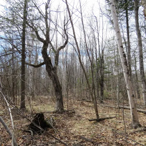 $74,000 | 8 Finland Mn 55603, Schroeder, MN 55613