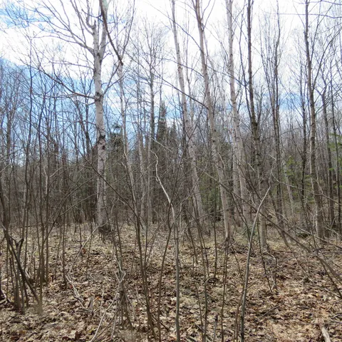 $74,000 | 8 Finland Mn 55603, Schroeder, MN 55613