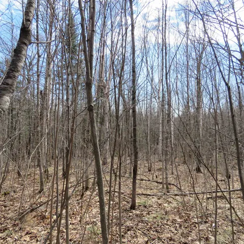 $74,000 | 8 Finland Mn 55603, Schroeder, MN 55613