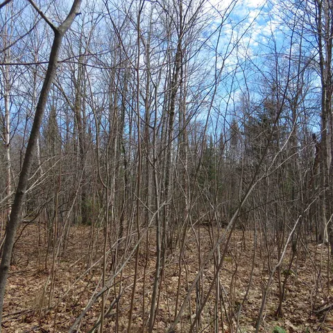 $74,000 | 8 Finland Mn 55603, Schroeder, MN 55613