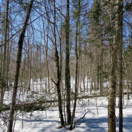 $70,000 | 8 Finland Mn 55603, Schroeder, MN 55613