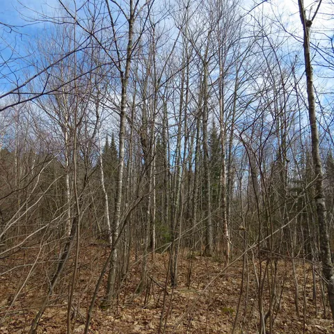 $74,000 | 8 Finland Mn 55603, Schroeder, MN 55613