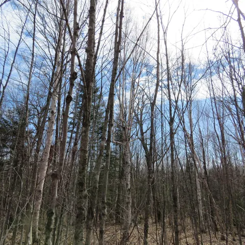 $74,000 | 8 Finland Mn 55603, Schroeder, MN 55613