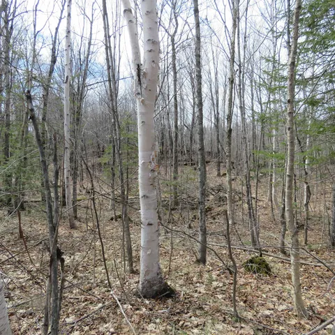 $74,000 | 8 Finland Mn 55603, Schroeder, MN 55613