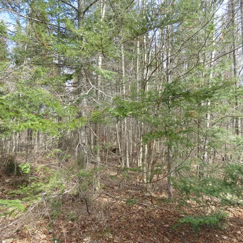 $74,000 | 8 Finland Mn 55603, Schroeder, MN 55613