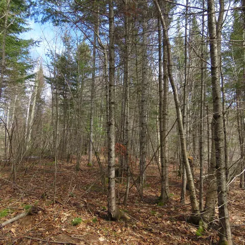 $74,000 | 8 Finland Mn 55603, Schroeder, MN 55613