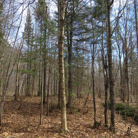 $74,000 | 8 Finland Mn 55603, Schroeder, MN 55613