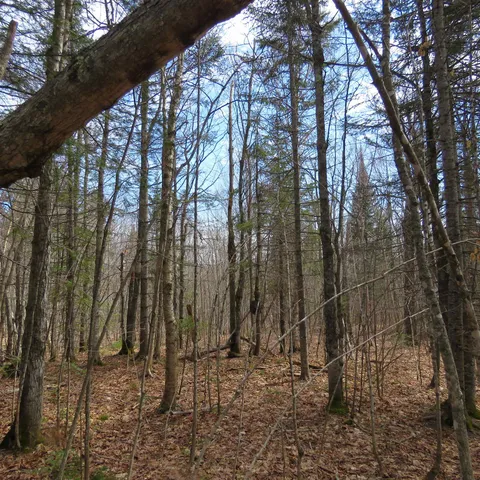 $74,000 | 8 Finland Mn 55603, Schroeder, MN 55613