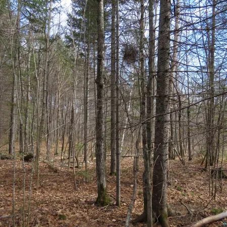 $70,000 | 8 Finland Mn 55603, Schroeder, MN 55613