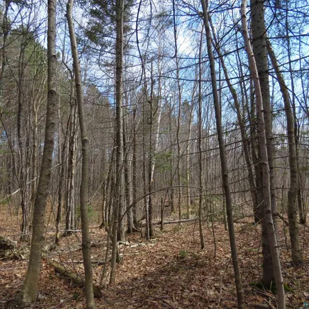 $70,000 | 8 Finland Mn 55603, Schroeder, MN 55613
