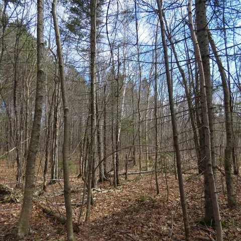 $74,000 | 8 Finland Mn 55603, Schroeder, MN 55613